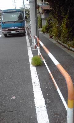 c0062796_1713577.jpg