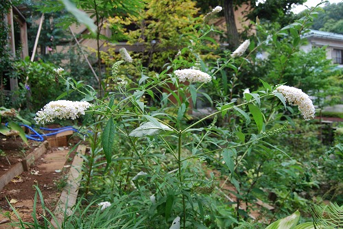 c0124100_025536.jpg