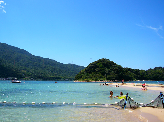 夏_f0073301_15145932.jpg
