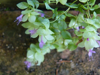 a0123003_22103141.jpg