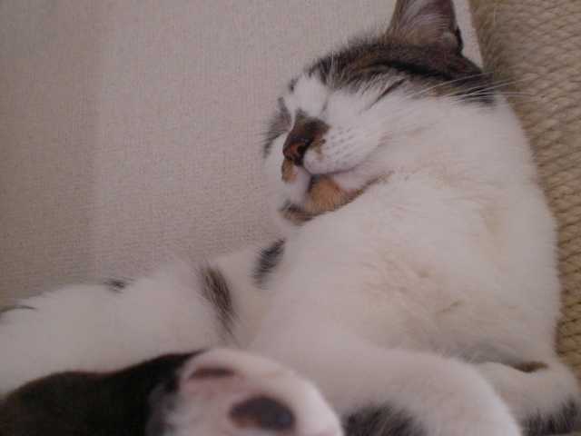 d0131207_9515172.jpg