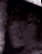 e0103408_15395747.gif