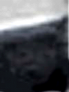 e0103408_15403732.gif