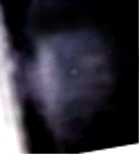 e0103408_15405724.gif