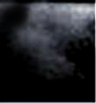 e0103408_1541174.gif