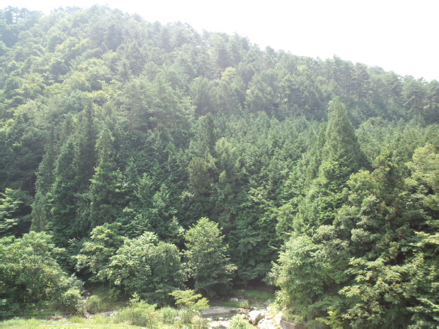 tsunma724_c0160112_102959.jpg