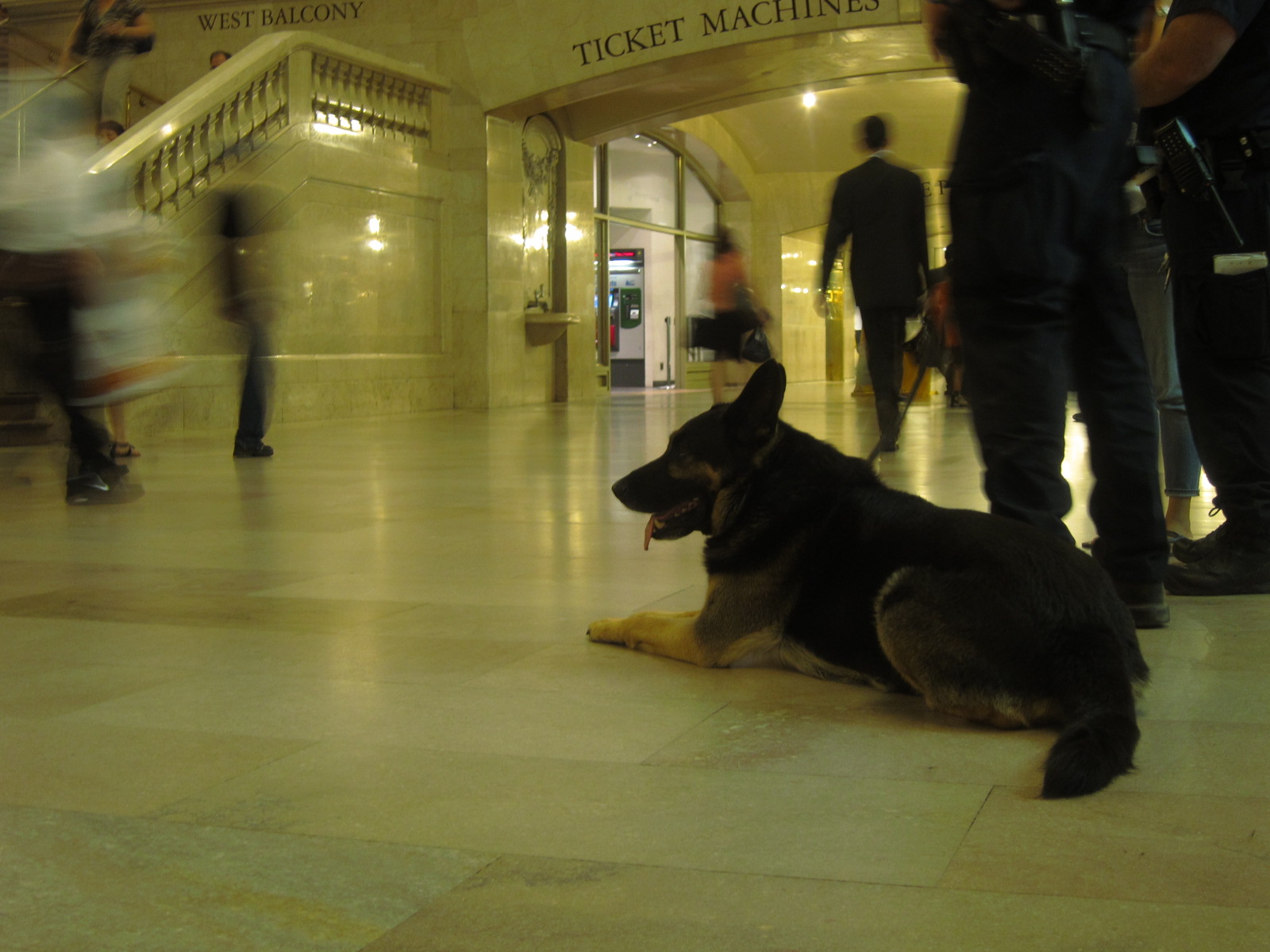 c0120817_15113.jpg