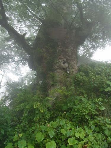 c0223117_17485525.jpg