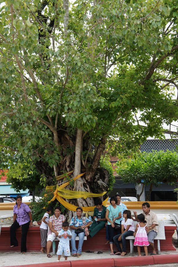 f0116817_1650041.jpg