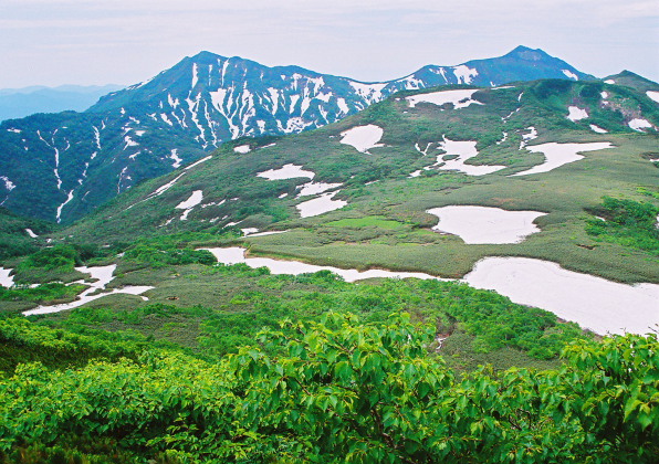 雄大な残雪の山々と壮大な高層湿原を結ぶ縦走コース_a0113718_1203264.jpg