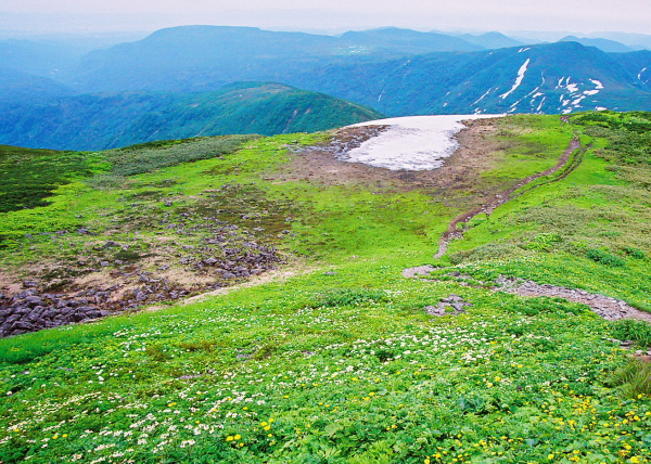 雄大な残雪の山々と壮大な高層湿原を結ぶ縦走コース_a0113718_123952.jpg