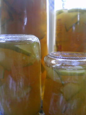 c0124619_0275021.jpg