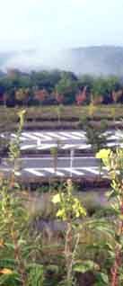 e0083820_10594116.jpg