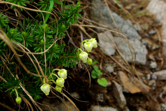 b0062024_1117828.jpg