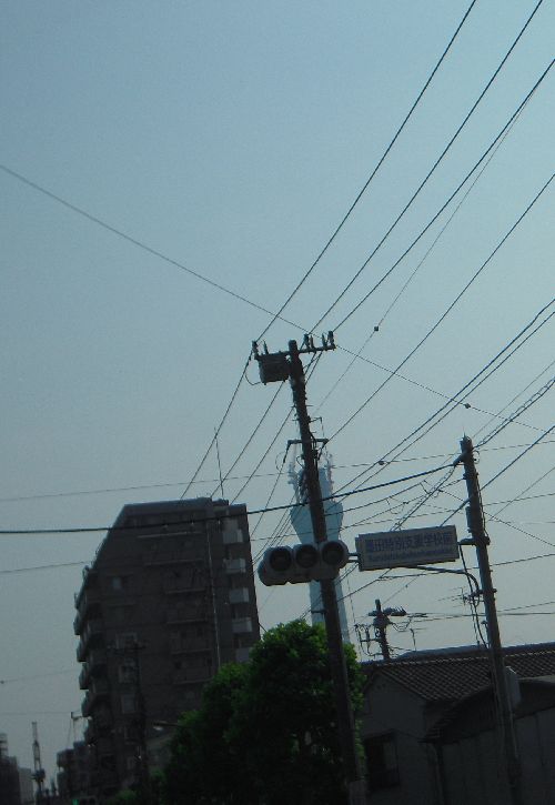 e0108126_8342997.jpg