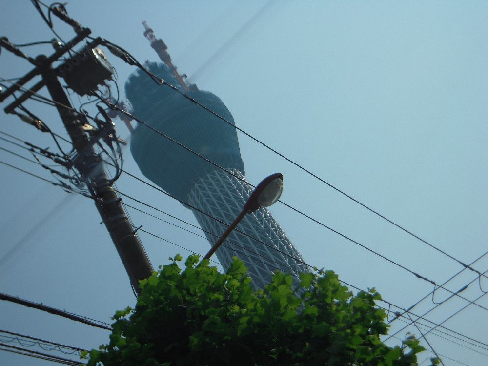 e0108126_836776.jpg