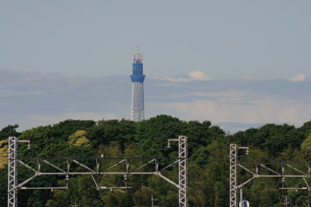 b0152234_14917.jpg