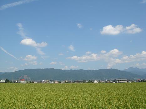 a0014840_21411421.jpg