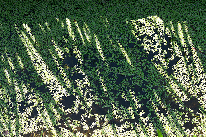 c0067040_23283079.jpg