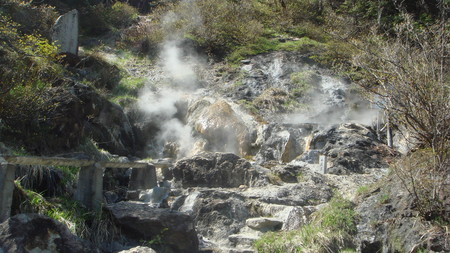 f0219043_20505421.jpg