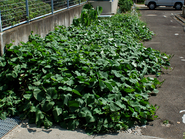 f0086944_13542193.jpg