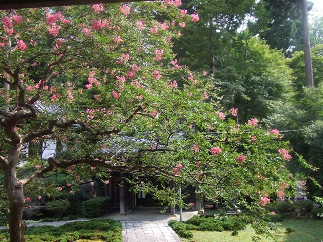 Seiganji Temple near Maibara Station has a beautiful Zen Garden_e0046748_17303257.jpg