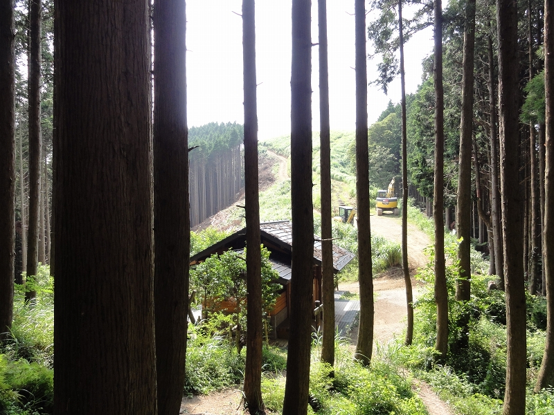 シュカイドウの咲き始めた岩湧寺から岩湧山_a0122149_2262457.jpg