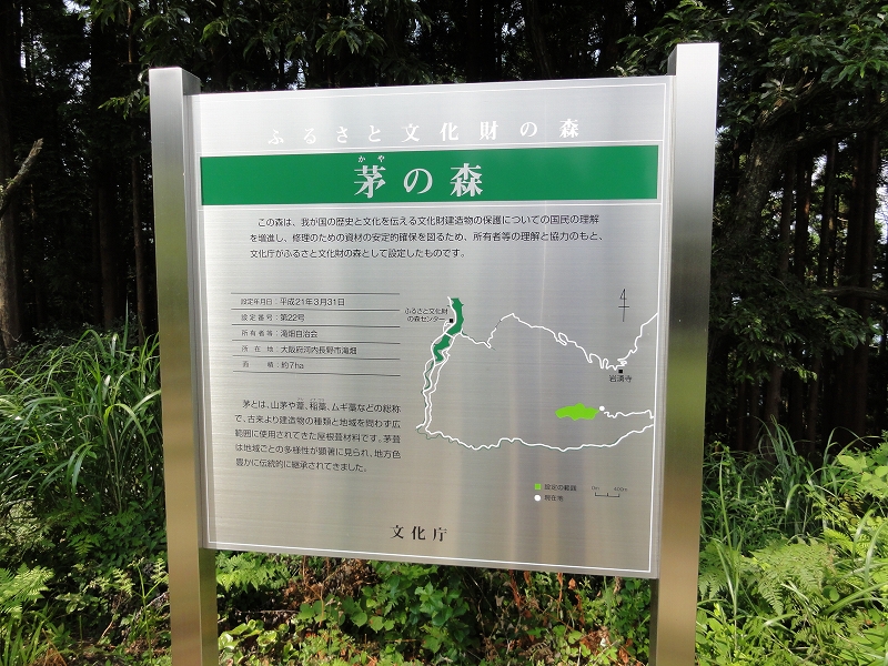 シュカイドウの咲き始めた岩湧寺から岩湧山_a0122149_2265955.jpg