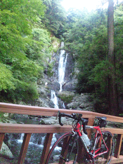 f0229250_929321.gif