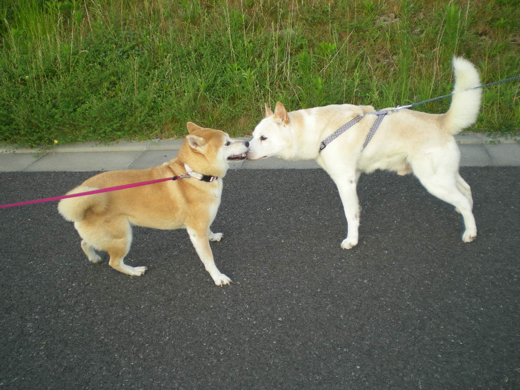 2010年8月21日(土)車の下で捕まえて!_f0060461_855447.jpg