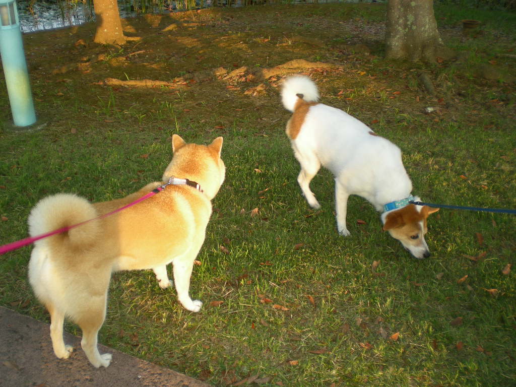2010年8月21日(土)車の下で捕まえて!_f0060461_916285.jpg