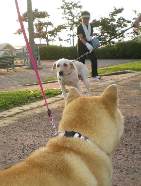 2010年8月21日(土)車の下で捕まえて!_f0060461_924373.jpg