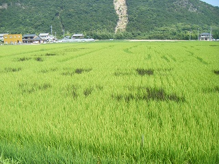 a0026567_15541928.jpg