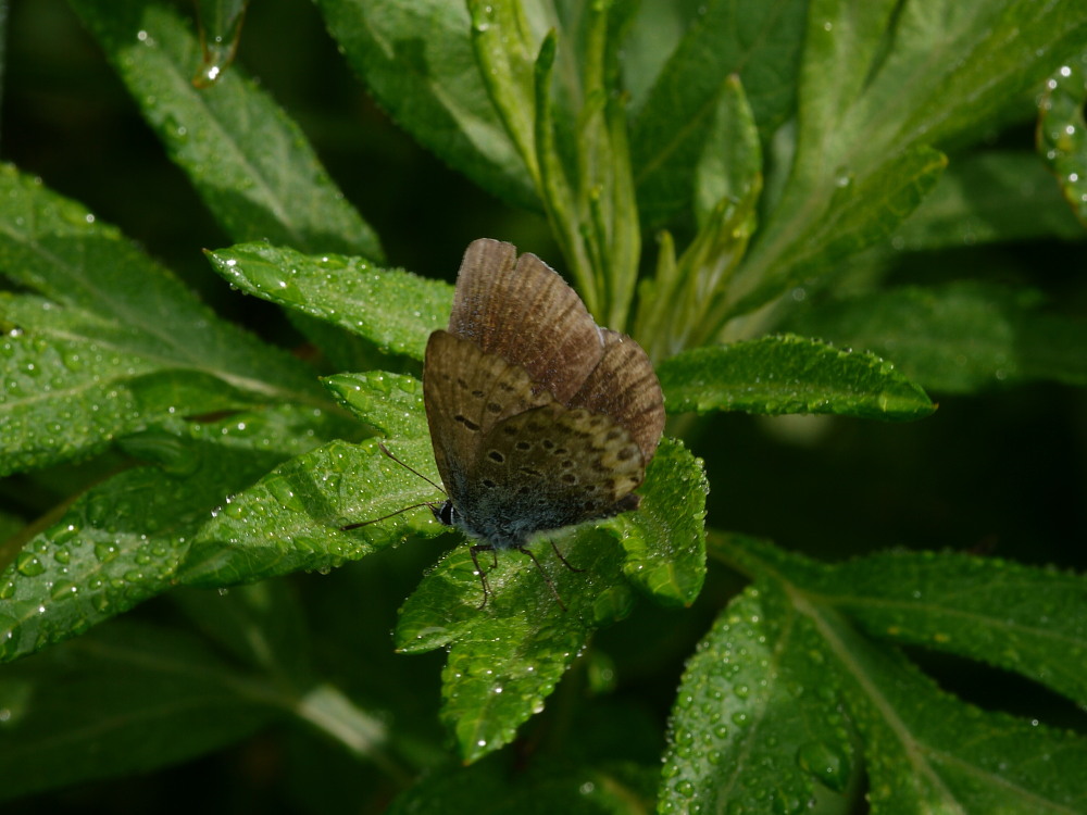 a0146869_50630.jpg
