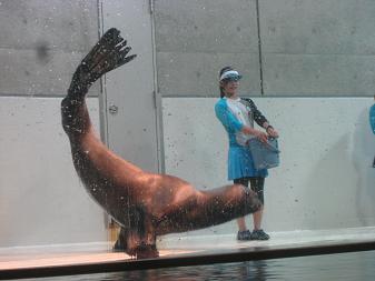 f0196374_99891.jpg