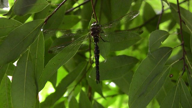 d0020180_16171780.jpg