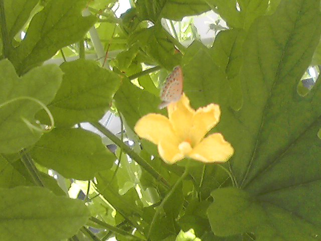 f0016783_22455689.jpg