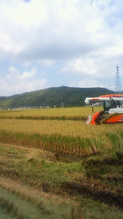 f0234087_14452196.jpg