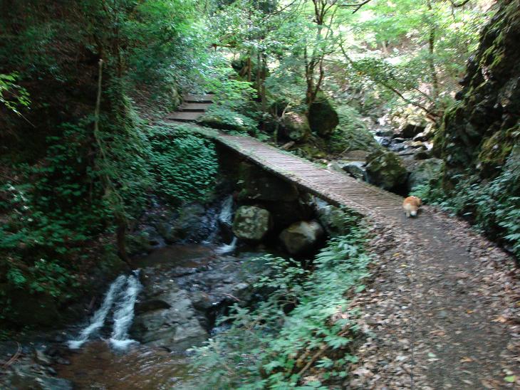 f0075595_2533070.jpg