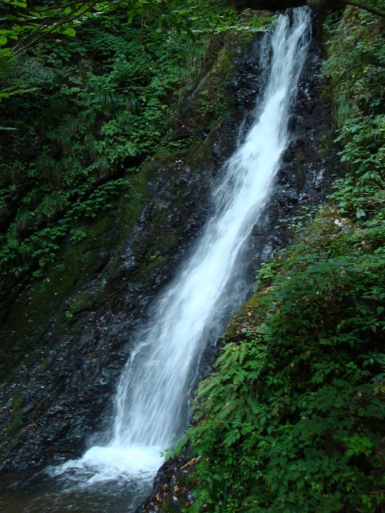 f0075595_2562357.jpg
