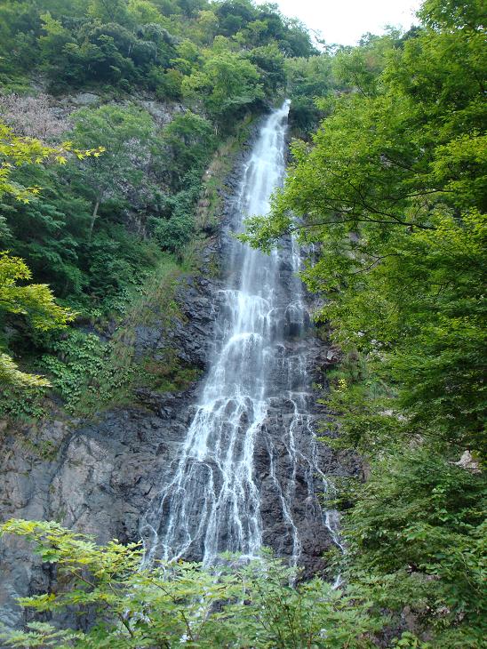 f0075595_2574125.jpg