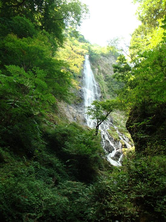 f0075595_257844.jpg