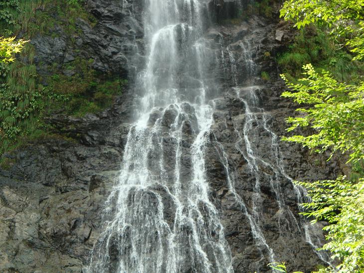 f0075595_2583464.jpg
