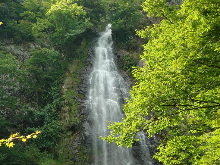 f0075595_2584634.jpg