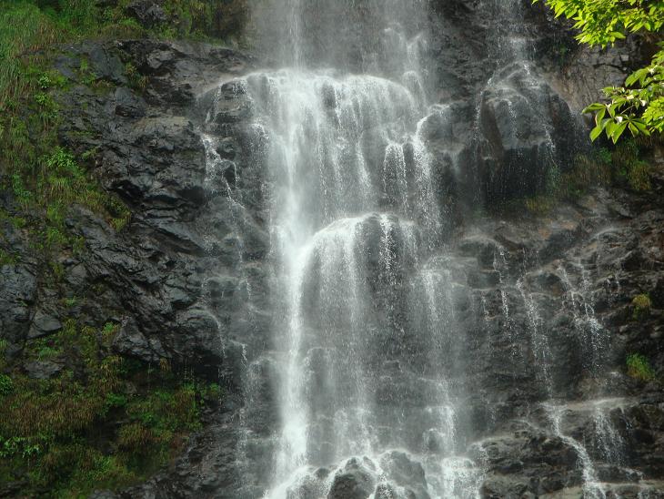 f0075595_259139.jpg
