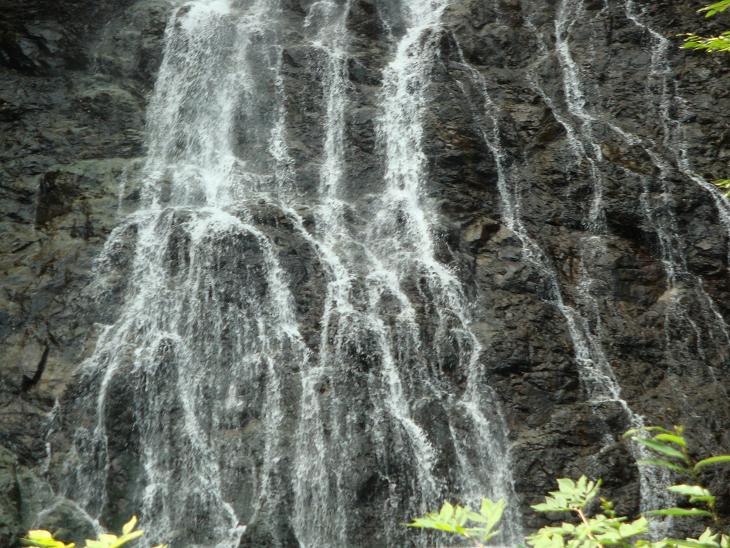 f0075595_259234.jpg