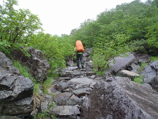 c0147398_0211792.jpg
