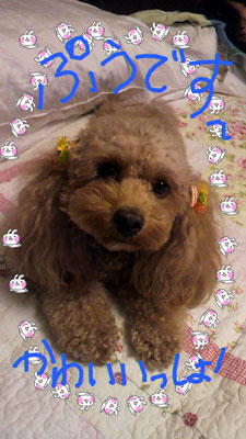 ファミリー_a0047200_2156624.jpg
