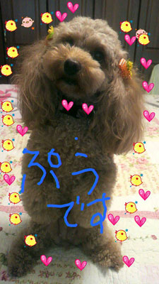 ファミリー_a0047200_2156656.jpg