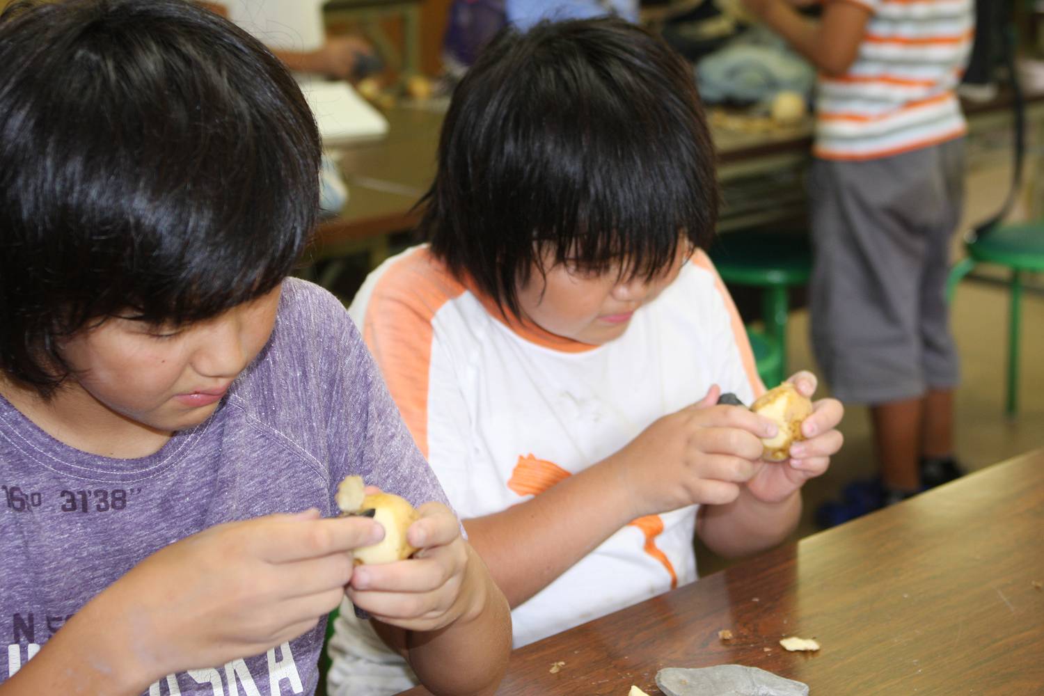 子ども自然講座「古代人に挑戦！石器つくり」_b0049200_1528824.jpg